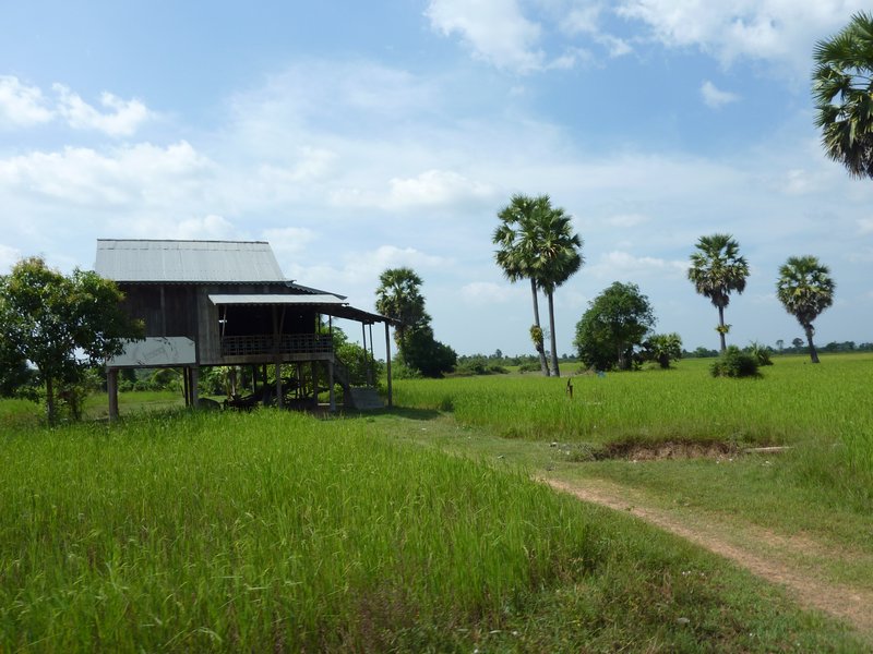 Rural Cambodia
