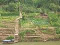 Farming terraces