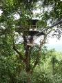 Our tree house