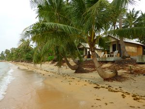 Our Beach Bungalow
