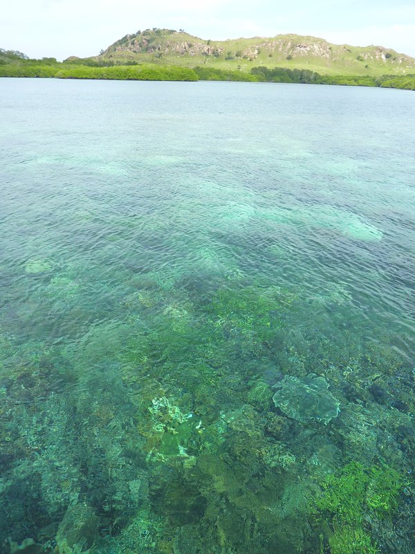 Clear water and the reef below