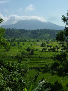 Bali countryside