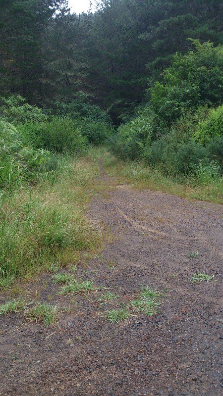 Horse Track Entrance