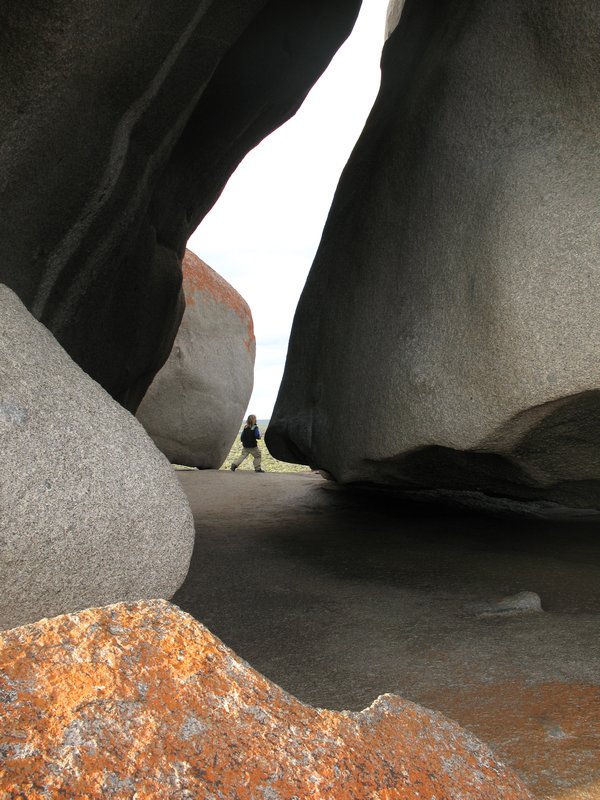 Remarkable Rocks (Flinders Chase NP) (14)