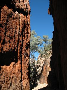 Standley Chasm (West Macs) (4)