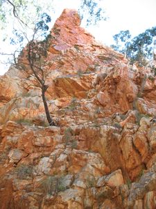 Standley Chasm (West Macs) (7)