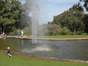 Perth (Kings Park) (6)