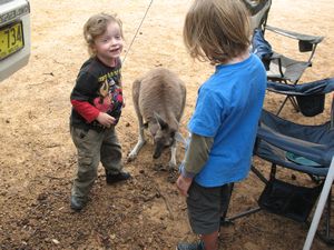 Lucky Bay (Cape Le Grand NP) (5)