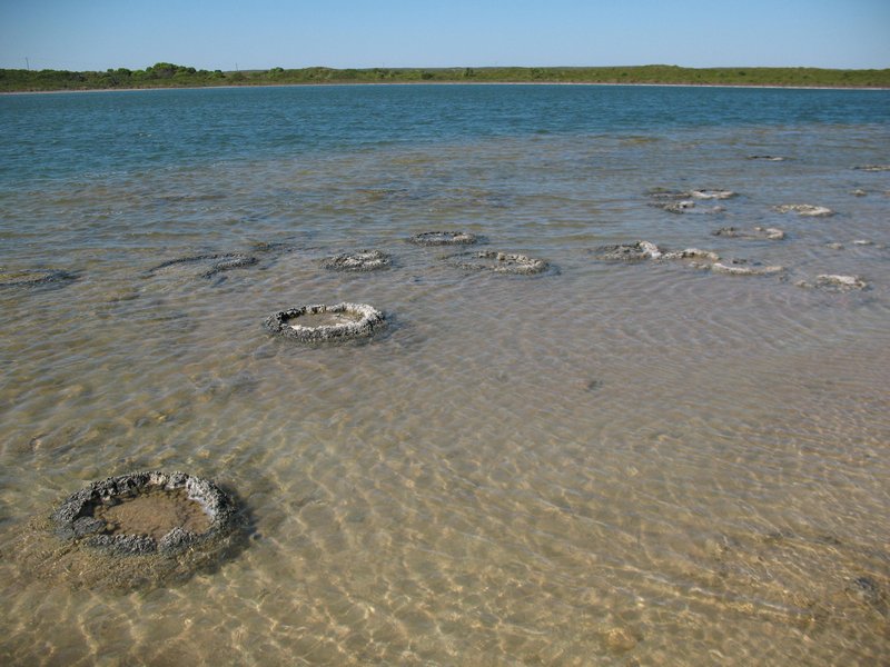 Cervantes (Stromatolites)