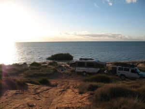 Shark Bay (Eagle Bluff) (4)