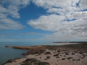 Shark Bay (Eagle Bluff) (7)