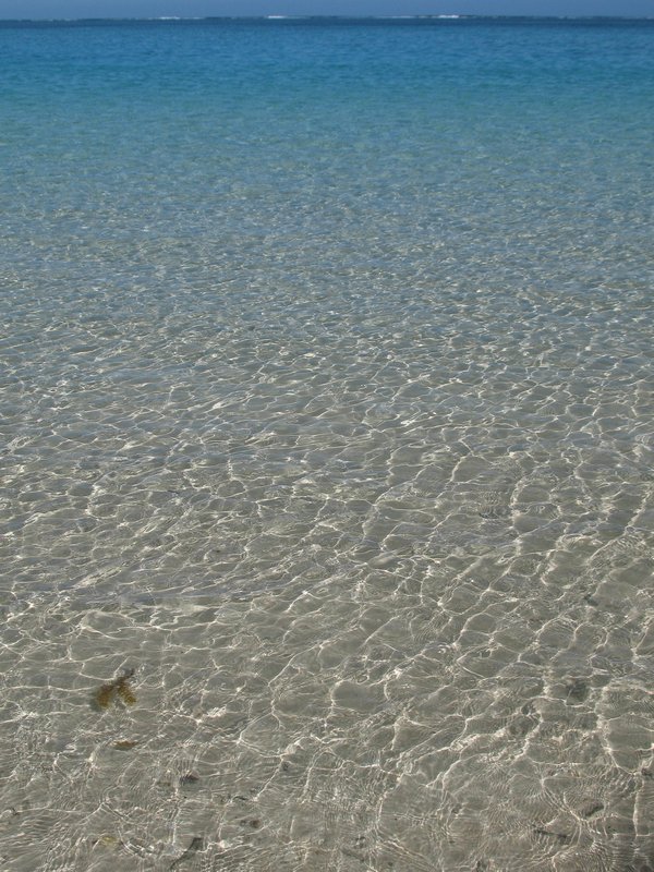 Ningaloo Reef (Turquoise Bay)