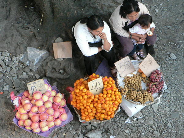 Selling Fruit in Baguio