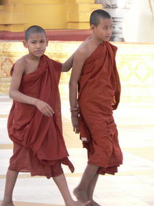 Boy Monks 