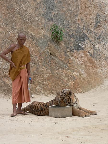 Monk with water, tiger with water