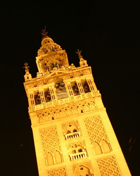 Cathedral tower at night
