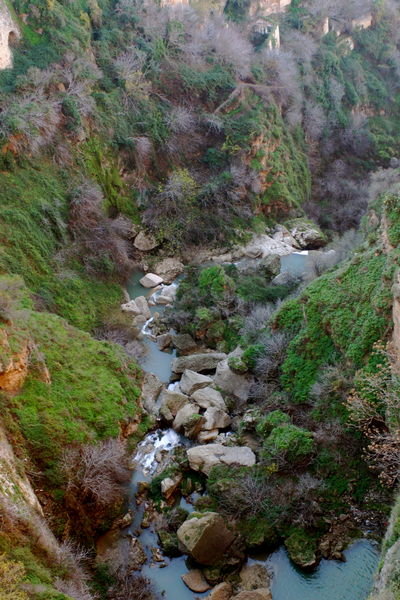 Down into the gorge