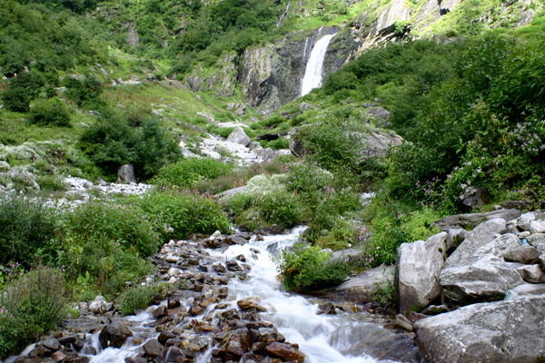 The Valley of Flowers