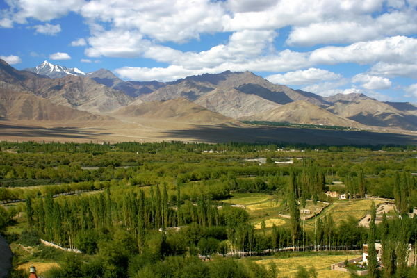 Fertile Valley Ladkh