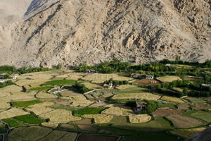 Cultivated Valley on the way to Pangong Lake 