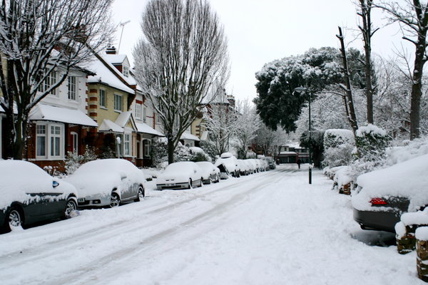 Our road - today looks like every other street in SW London!