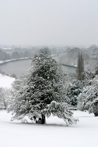 Looking down over Petersham Meadows to the Thames