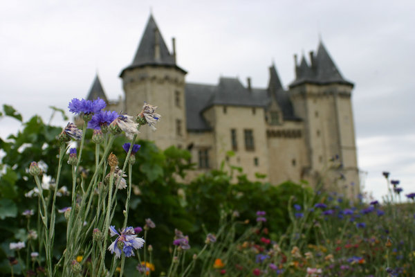 Loire Valley Chateau 