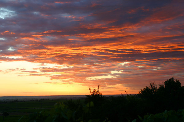 Sun rise - as seen from our bed overlooking the vineyard 
