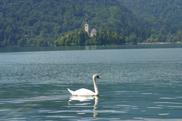 At Lake Bled