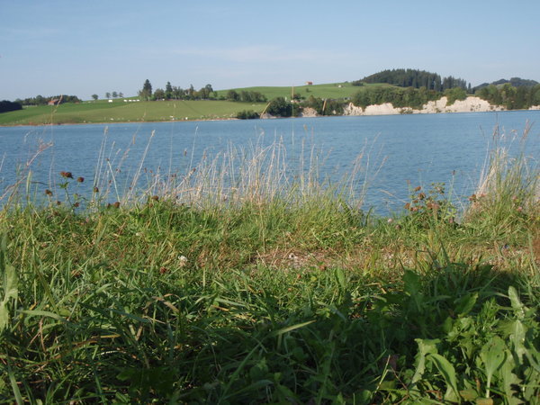 Lake view