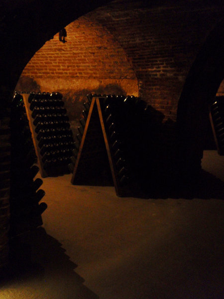 Down in the cellars
