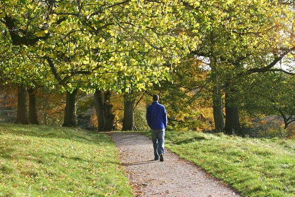 Autumn stroll 