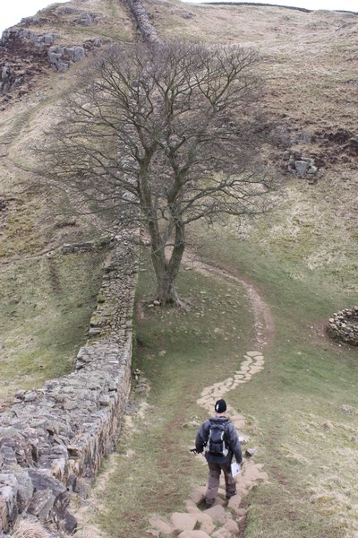 Chris walking down towards the famous 'Sycamore Gap'
