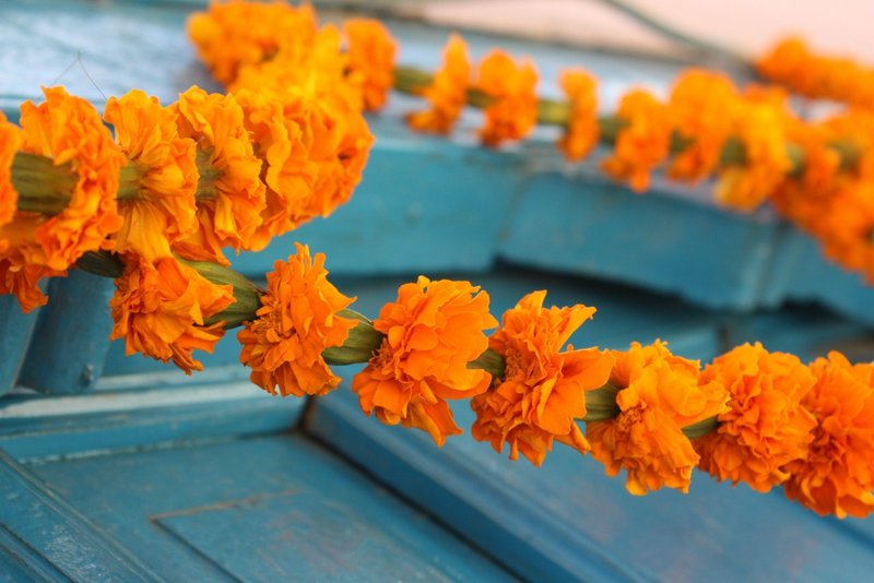 Marigolds hang above nearly every doorway during Diwali