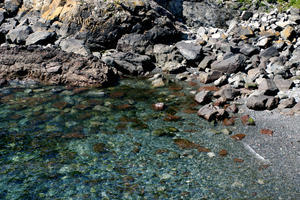 The water's clear in Cornwall