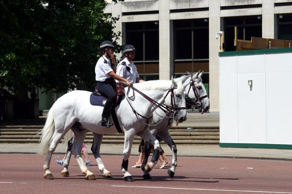 Mounted police at 'The Mall'