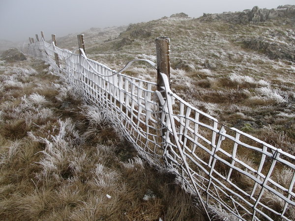 Frozen fence