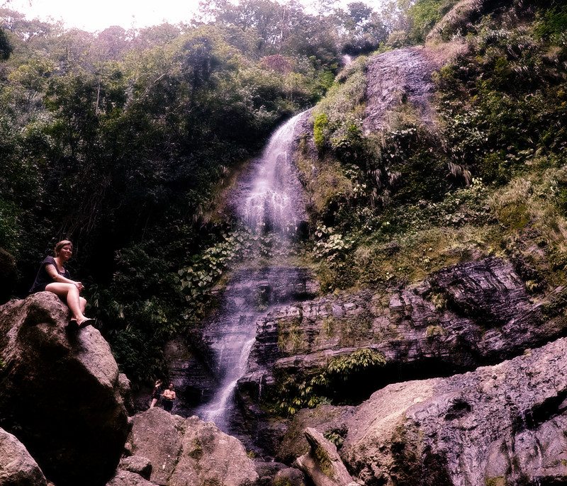 agua selva 1