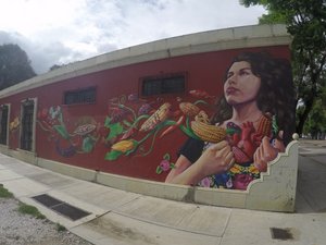 Art in the town of Tule