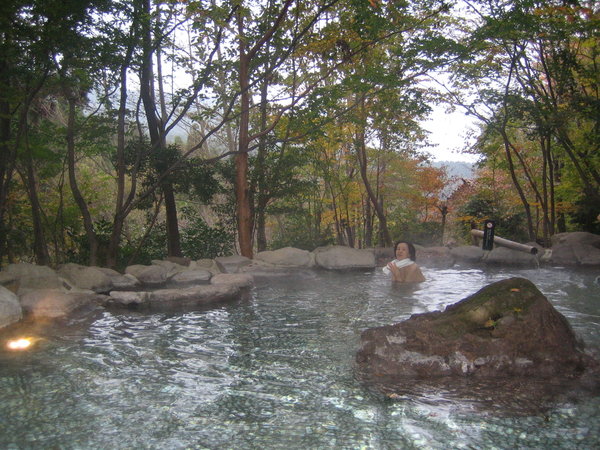An open-air hot spring bath.