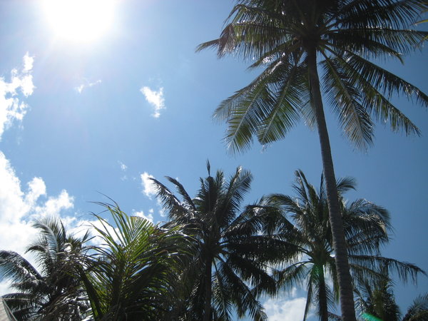 Lombok sunshine