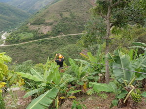 The first Zip line