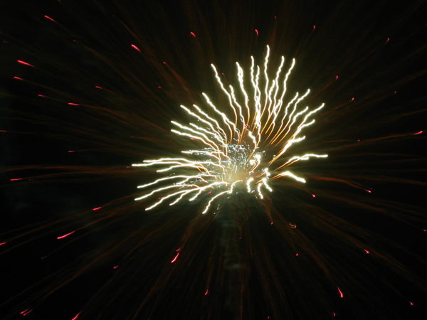 Fireworks in disguise -- as corals... haha