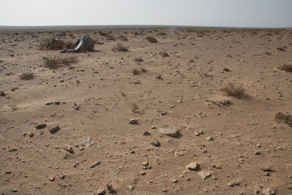 namiot tłamszony pustynnym wiatrem