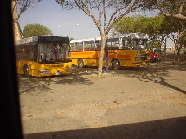 Maltese buses