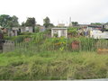 Xhosa squatter housing next to the town of Knysna