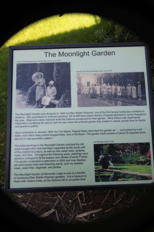 Moonlight garden description