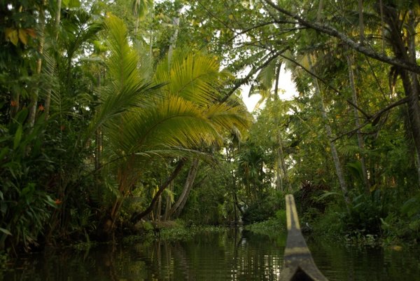 Kerala Backwaters Paradise