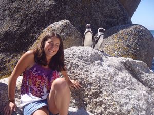 boulder beach with the penguins