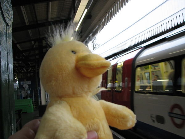 Quack and London tube
